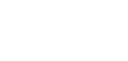 Black Bear Web - Developer & Marketing